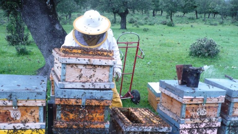 25Οκτ2018 – Μάθε τι παίζει – Αχιλλέας Παπαστεργίου