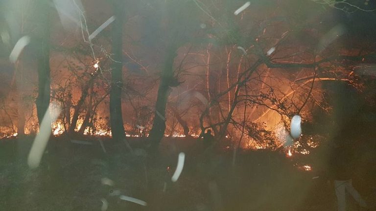 25Οκτ2018 – Μάθε τι παίζει – Μιχάλης Σπανός