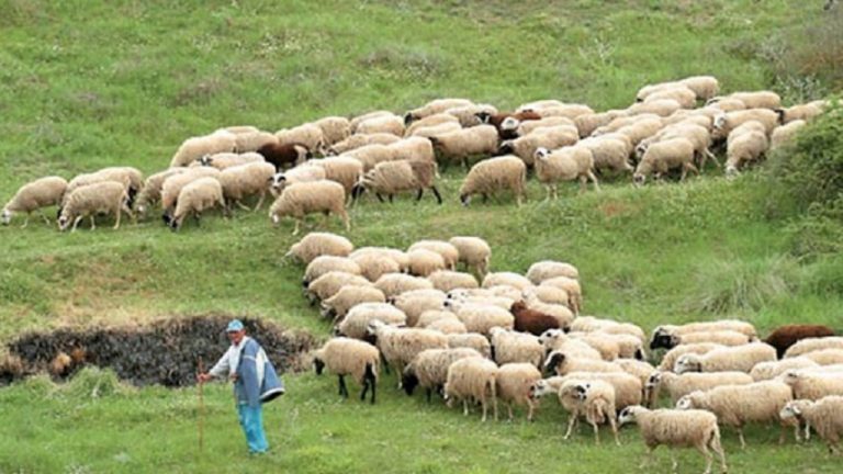 18Οκτ2018 – Μάθε τι παίζει – Θωμάς Καρυπίδης