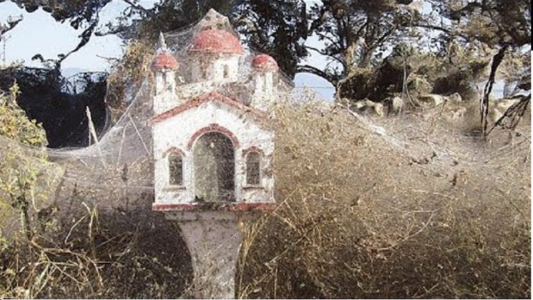 19Οκτ2018 – Ημερολόγιο – Ευτέρπη Πατετσίνη