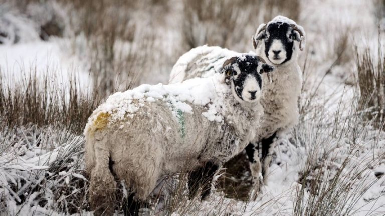 29Νοε2018 –  Μάθε τι παίζει – Χρήστος Τσέρνιος
