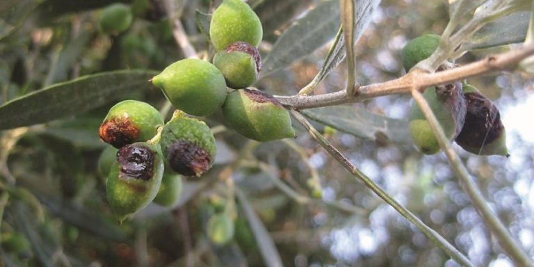 15Νοε2018 – Μάθε τι παίζει – Γιάννης Διαννελάκης