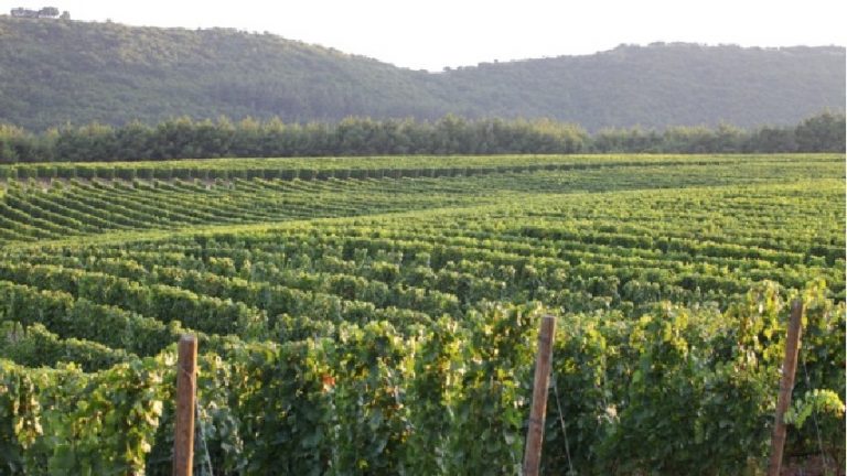 09Νοε2018 – Μάθε τι παίζει – Έλενα Αποστολίδου