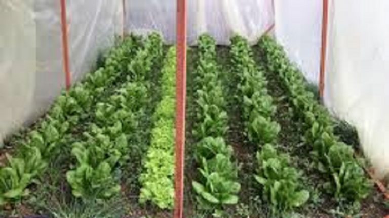 08Νοε2018 – Βασίλης Μισαηλίδης