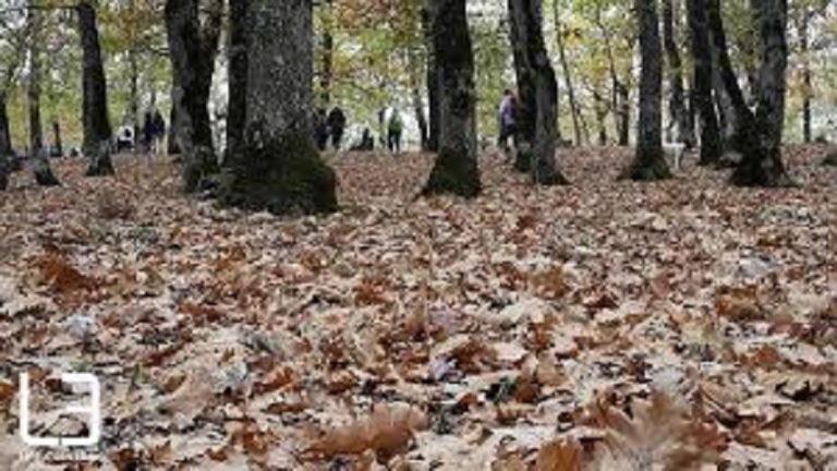 09Νοε2018 – Μάθε τι παίζει – Δημήτρης Βολοβότσης