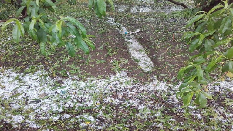 15Απρ2019 –  Μάθε τι παίζει – Θόδωρος Παπακωνσταντίνου