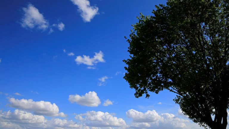 19Ιον2019–  Μάθε τι παίζει – Μιχάλης Σιούτας