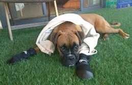 02Ιολ2019 –  Μάθε τι παίζει – Κυριάκος Αγαθαγγελίδης