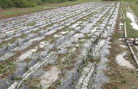 20Σεπ2019 –  Μάθε τι παίζει – Γιάννης Γεωργολόπουλος