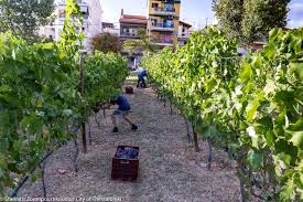 19Σεπ2019 –  Μάθε τι παίζει – Σωκράτης Δημητριάδης