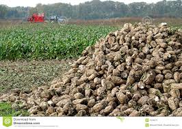 06Νοε2019 – Αθανάσιος Πίπας