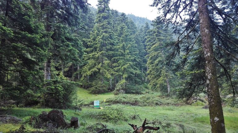 07Νοε2019 – Ιωάννης Ξάκης