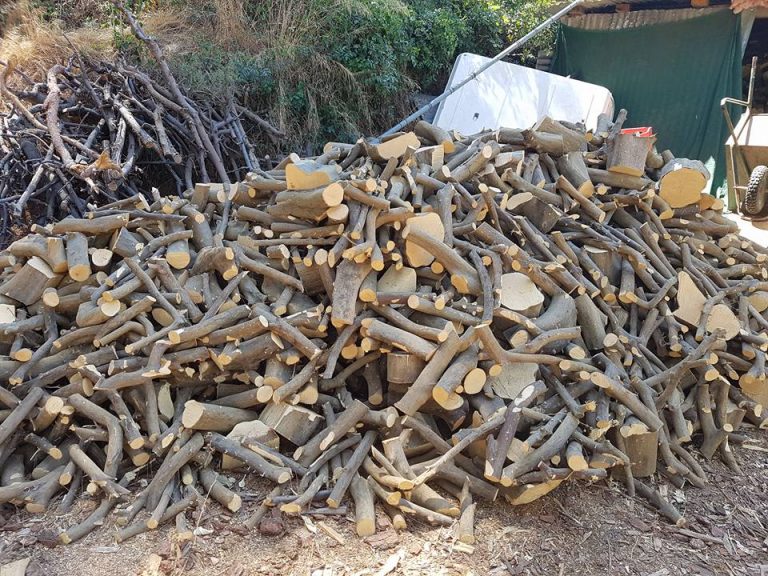 05Νοε2019 – Κώστας Φυτάς