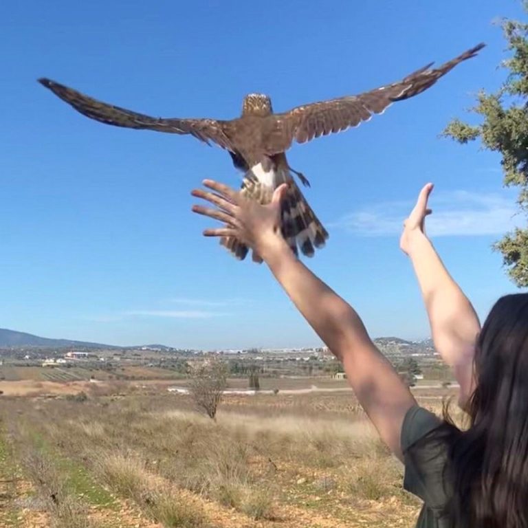 Infinitely Curious: Wildlife on the edge – The work of ANIMA | 16.02.2025